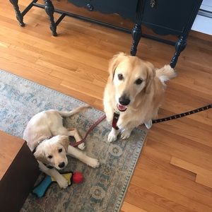 Meet your Posher, Patrick